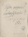 Надписи на конвертах, сделанные рукой Отто фон Бисмарка.
